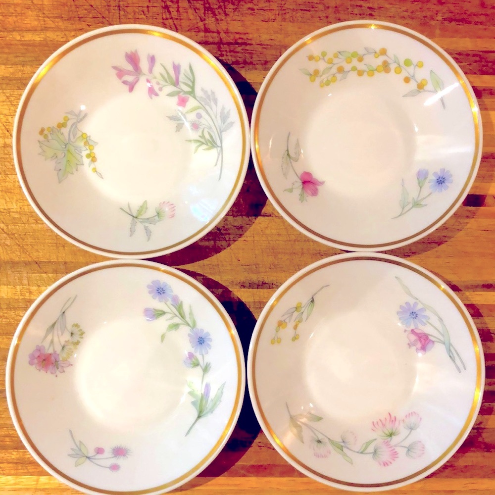 NWOT Vintage Collectable Richard Ginori Italian little saucer bowls set